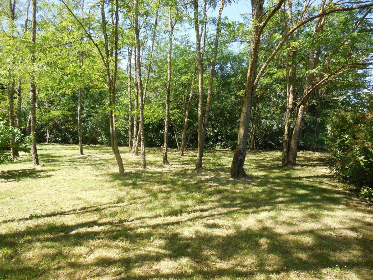 Le Chalet Bois De Celio Coux Dış mekan fotoğraf